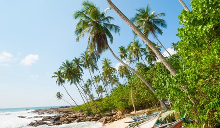 Singlereise Sri Lanka: Traditionelle Fischerboote am Strand für Singles & Alleinreisende.