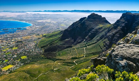 Südafrika Gruppenreise für Singles & Alleinreisende bei singlereisen.de buchen