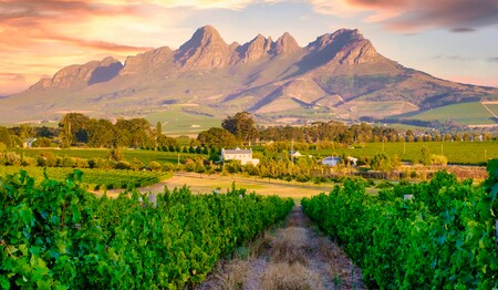 Blick auf die Berge von Stellenbosch beim Singleurlaub Südafrika.