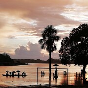 Singlereise Amazonas Kolumbien Dschungel: Alleinreisende entdecken die rosafarbenen Delfine und indigene Kultur.
