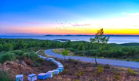 Griechenland für Singles und Alleinreisende auf einer Gruppenreise mit singlereisen.de