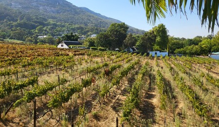 Südafrika Gruppenreise für Singles & Alleinreisende bei singlereisen.de buchen