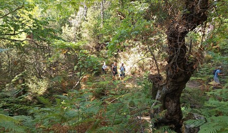 Wanderreise nach Griechenland für Alleinreisende buchen bei singlereisen.de