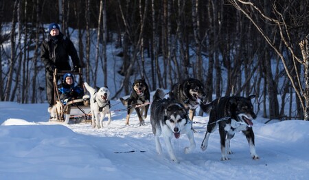 Husky Safari zu Weihnachten im Wintermärchen von Norwegen mit singlereisen.de