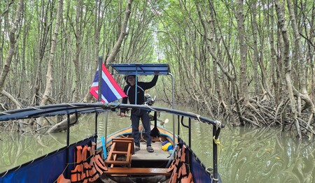 Bootsfahrt in die faszinierenden Mangroven – Abenteuer im Single Urlaub Thailand