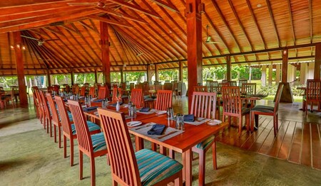 Singleurlaub Sri Lanka - Traumurlaub am Indischen Ozean Restaurant im The Palms