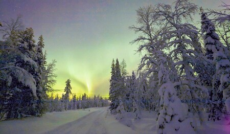 Polarlichter über verschneitem Waldweg in Schwedisch-Lappland für Singles & Alleinreisende.