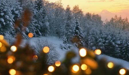 Singlereisen Bayerischer Wald und mit weiteren Singles & Alleinreisenden die Natur genießen. se