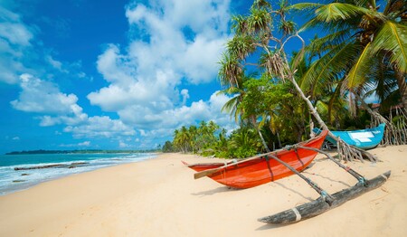 Singlereise Sri Lanka: Idyllischer Strand mit Booten für Singles & Alleinreisende.