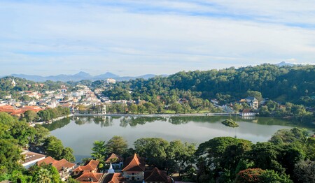 Oak Ray Heritage Blick auf die Umgebung und den See für Singles & Alleinreisende