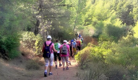 Griechenland für Alleinreisende buchen bei singlereise.de