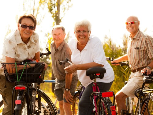 Vier Personen auf E-Bikes lächeln in die Kamera während einer E-Bike-Singlereise am Rhein.
