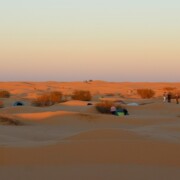 Entdecken Sie in Tunesien die Faszination der Wüste beim Kameltrekking in der Sahara mit singlereisen.de.