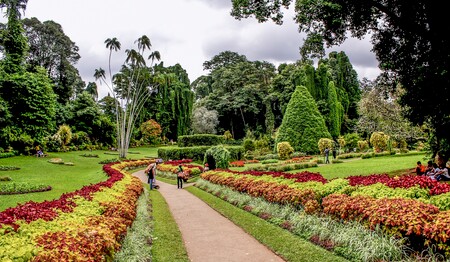 Singlereise Sri Lanka: Spaziergang durch den Royal Botanical Garden für Singles & Alleinreisende.