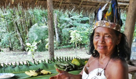 Singlereise Amazonas Kolumbien Dschungel: Alleinreisende entdecken die rosafarbenen Delfine und indigene Kultur.