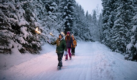 Singleurlaub mit Kind in Schweden buchen bei singlereisen.de