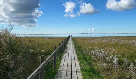 Singleurlaub an die Nordsee mit Ausflügen nur beim Testsieger singlereisen.de