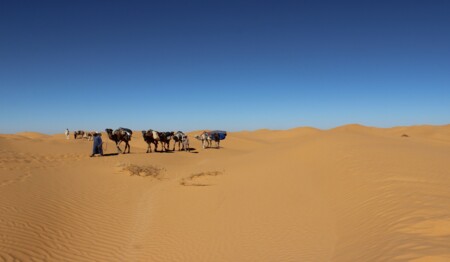 Beim Kameltrekking in der Sahara mit singlereisen.de die Faszination der Wüste entdecken