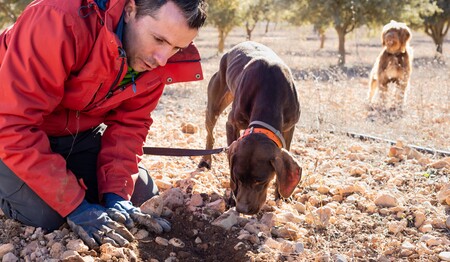 Mann mit Trüffelhund bei der Trüffelsuche in Umbriens Wäldern – ein Teil der Singlereise