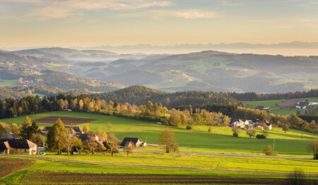 Singleurlaub im AVIVA mit singlereisen.de