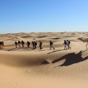 Beim Kameltrekking in der Sahara mit singlereisen.de die Faszination der Wüste entdecken