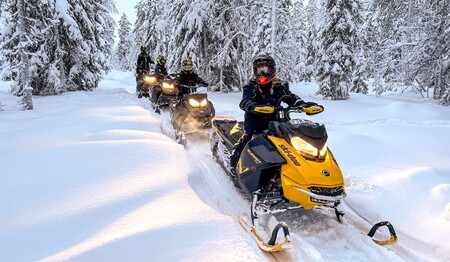 Gelbes Schneemobil fährt voraus durch tief verschneite Wälder in Schwedisch-Lappland für Singles & Alleinreisende.