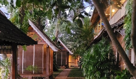 Ayurveda Gruppenreise für Singles im Süden von Indien bei singlereisen.de