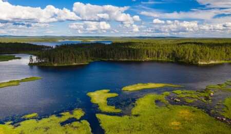 Erleben Sie einen Aktiv- und Abenteuerurlaub auf unserer Singlereise nach Schweden