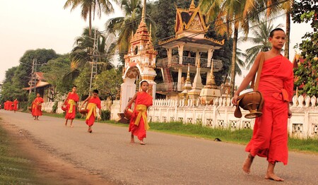 Eine Gruppe junger Mönche zieht in Kambodscha mit Almosenschalen über die Straße – ein authentischer Moment Ihrer Singlereise.