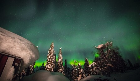 Grüne Polarlichter über verschneiten Bäumen bei Singlereisen in Schwedisch-Lappland für Singles & Alleinreisende.