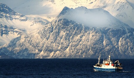 Lofoten Fischerboot in den Fjorden: Singles & Alleinreisende buchen bei singlereisen.de