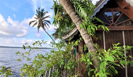 Ayurveda Gruppenreise für Singles im Süden von Indien bei singlereisen.de