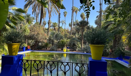 Der berühmte Majorelle-Garten in Marrakesch für Singles & Alleinreisende.