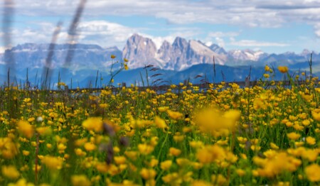 Wanderurlaub in Südtirol mit singlereisen.de