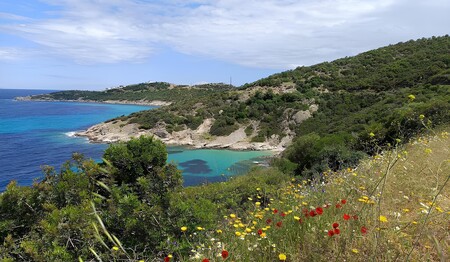 Griechenland für Alleinreisende buchen bei singlereise.de