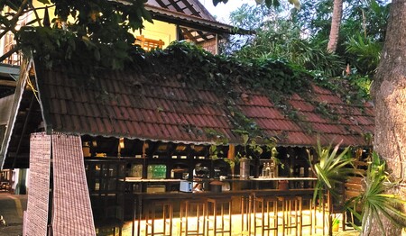 Ayurveda Gruppenreise für Singles im Süden von Indien bei singlereisen.de