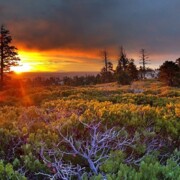 Singlereise nach Schweden und mit Gleichgesinnten einen Aktiv- und Abenteuerurlaub in der unberührten Natur erleben