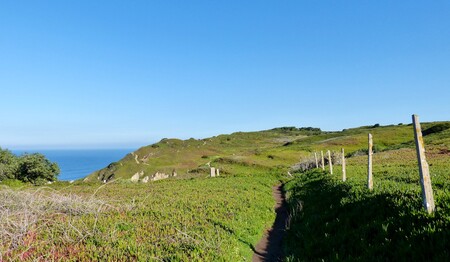 Küstenweg am Cabo São Vicente – Singlereise Portugal für Alleinreisende genießen