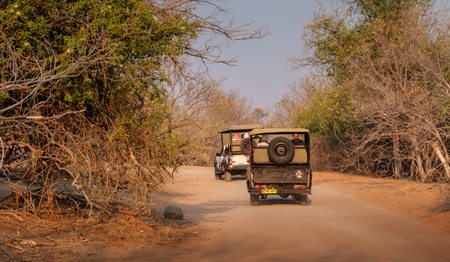 Safari-Fahrzeuge auf Sandpiste im afrikanischen Busch: Singles & Alleinreisende buchen bei singlereisen.de