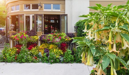 Blumenpracht vor einem historischen Gebäude im idyllischen Städtchen Niagara-on-the-Lake für Singles und Alleinreisende.