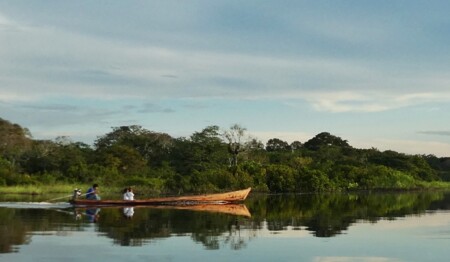 Singlereise Amazonas Kolumbien Dschungel: Alleinreisende entdecken die rosafarbenen Delfine und indigene Kultur.