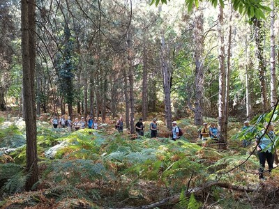 Wanderreise nach Griechenland buchen Alleinreisende bei singlereisen.de