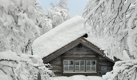 Singleurlaub mit Kind in Schweden buchen Alleinreisende bei singlereisen.de