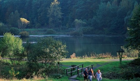 Idyllische Wanderung am Weiher mit weiteren Alleinreisenden im Spessart