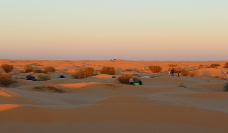 Entdecken Sie in Tunesien die Faszination der Wüste beim Kameltrekking in der Sahara mit singlereisen.de.
