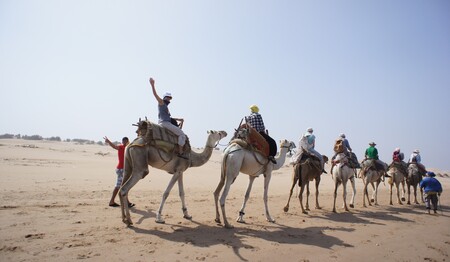 Kamelreiten am Strand für Singles & Alleinreisende in Marokko auf dieser Singlereise