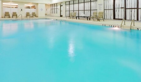 Hallenbad mit Liegestühlen und Fenstern im Hotel Holiday Inn Toronto Downtown Centre für Singlereisen.