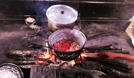 Singlereise Amazonas Kolumbien Dschungel: Alleinreisende entdecken die rosafarbenen Delfine und indigene Kultur.