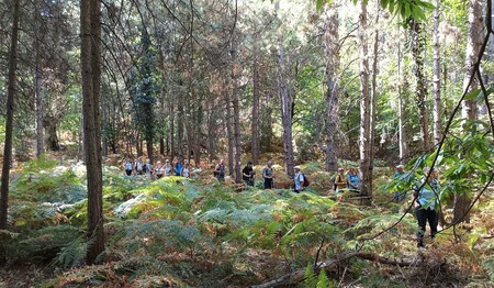 Wanderreise nach Griechenland buchen Alleinreisende bei singlereisen.de