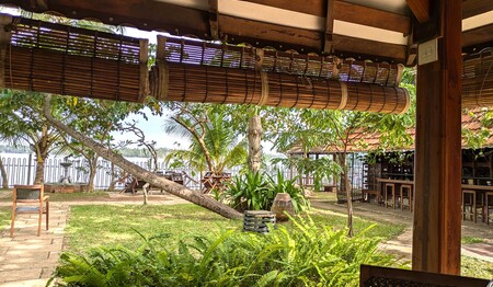 Ayurveda Gruppenreise für Singles im Süden von Indien bei singlereisen.de